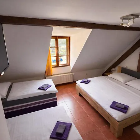 Maison d'hôtes Albatros Český Krumlov