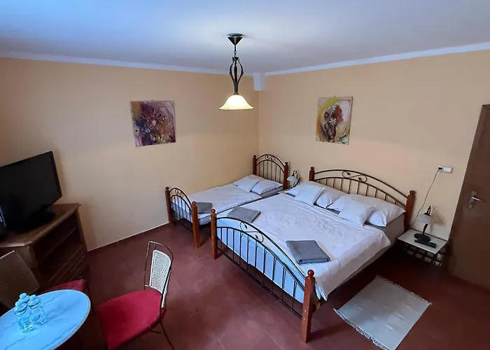 Albatros Vendégház 3*